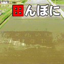 田んぼに巨大なアートを創ろう