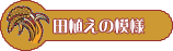 田植えの模様