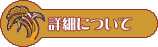 詳細について