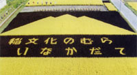 古代稲作文字