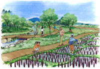 垂柳農村公園