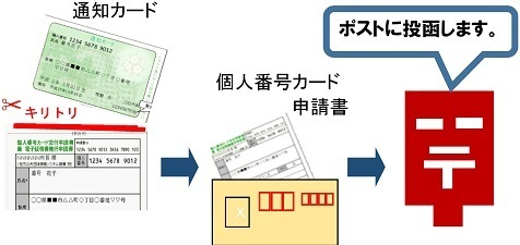 マイナンバー申請画像