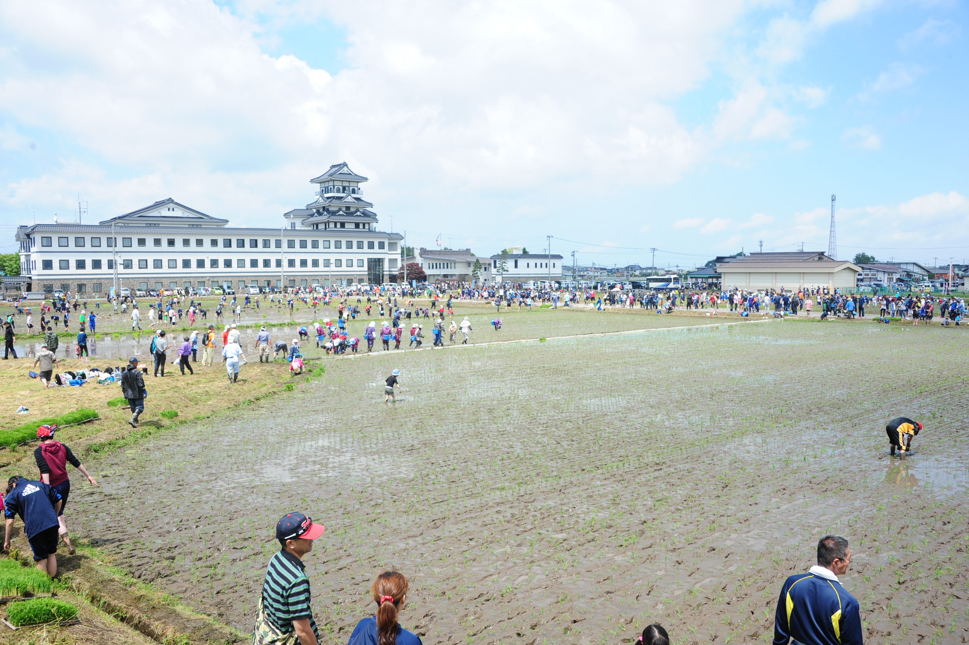 田植え_風景01.JPG