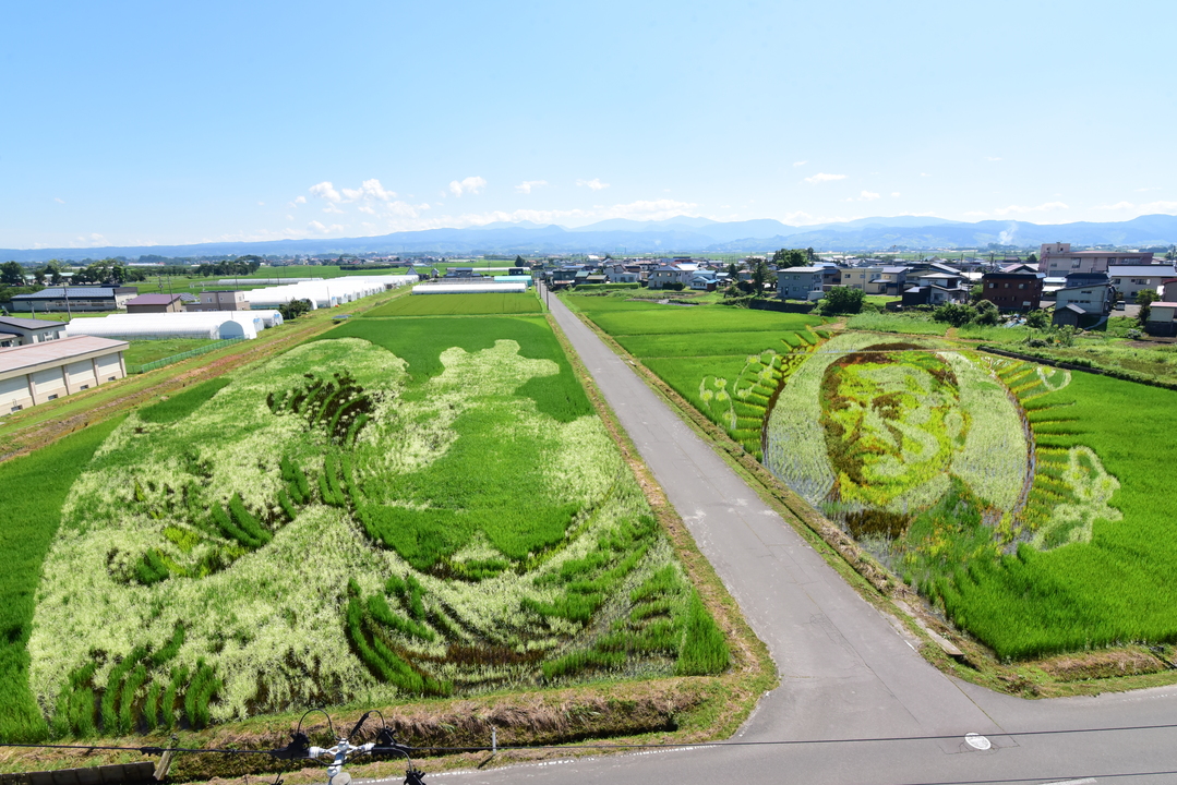R6「神奈川沖浪裏と北里柴三郎」.JPG